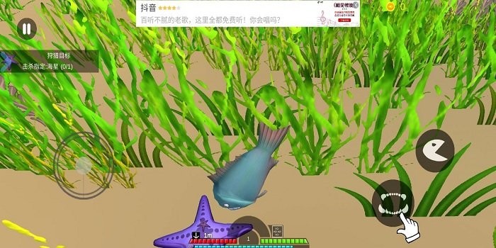 点击查看大图