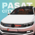 帕萨特汽车之城(Pasat City)